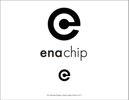 prelim-pci-page-layout